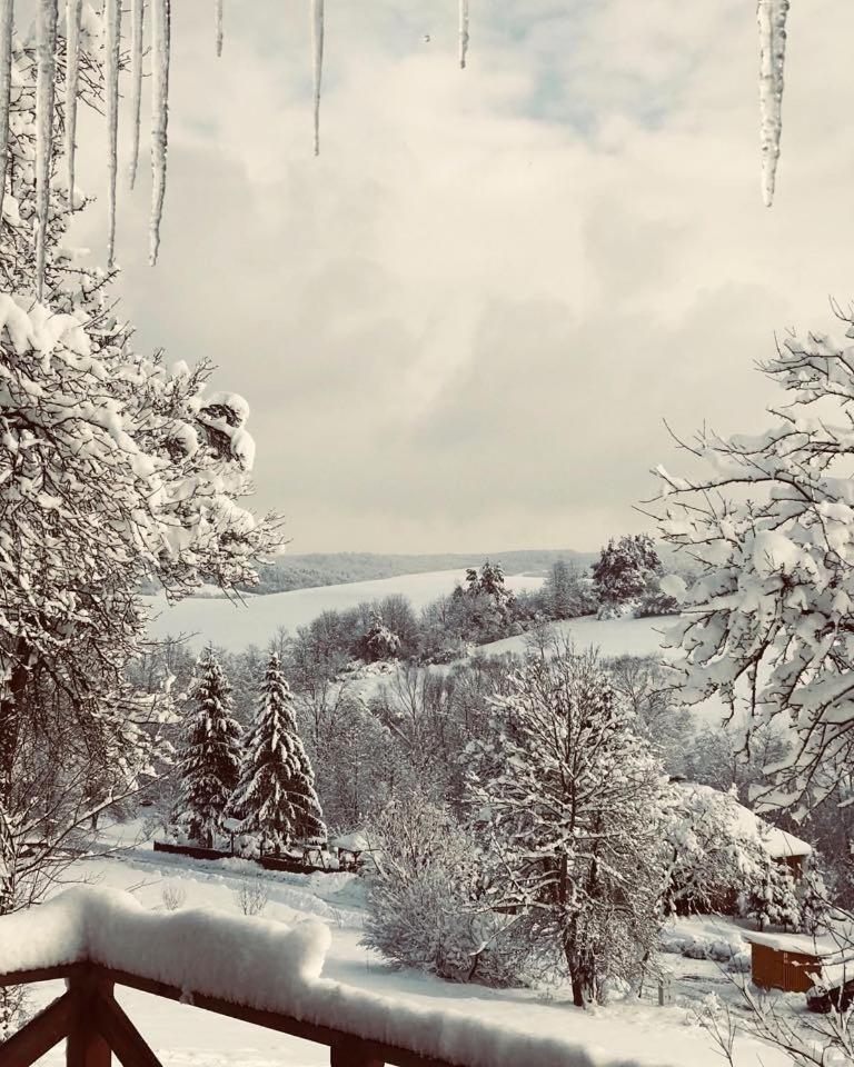 Maciejewka Villa Zahoczewie Kültér fotó