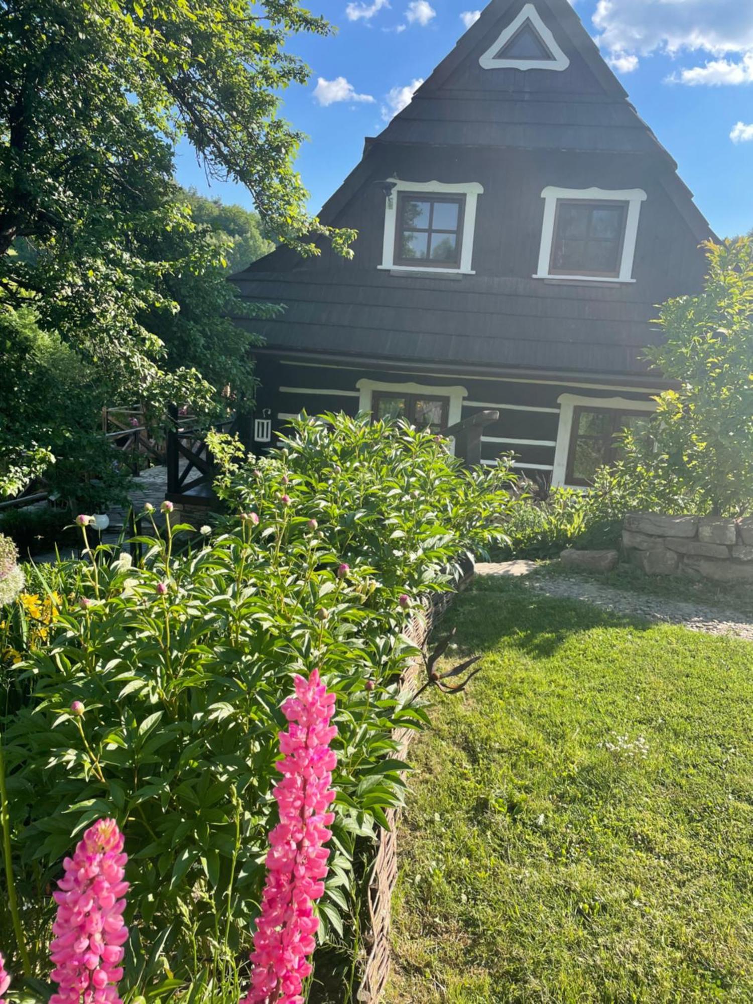 Maciejewka Villa Zahoczewie Kültér fotó