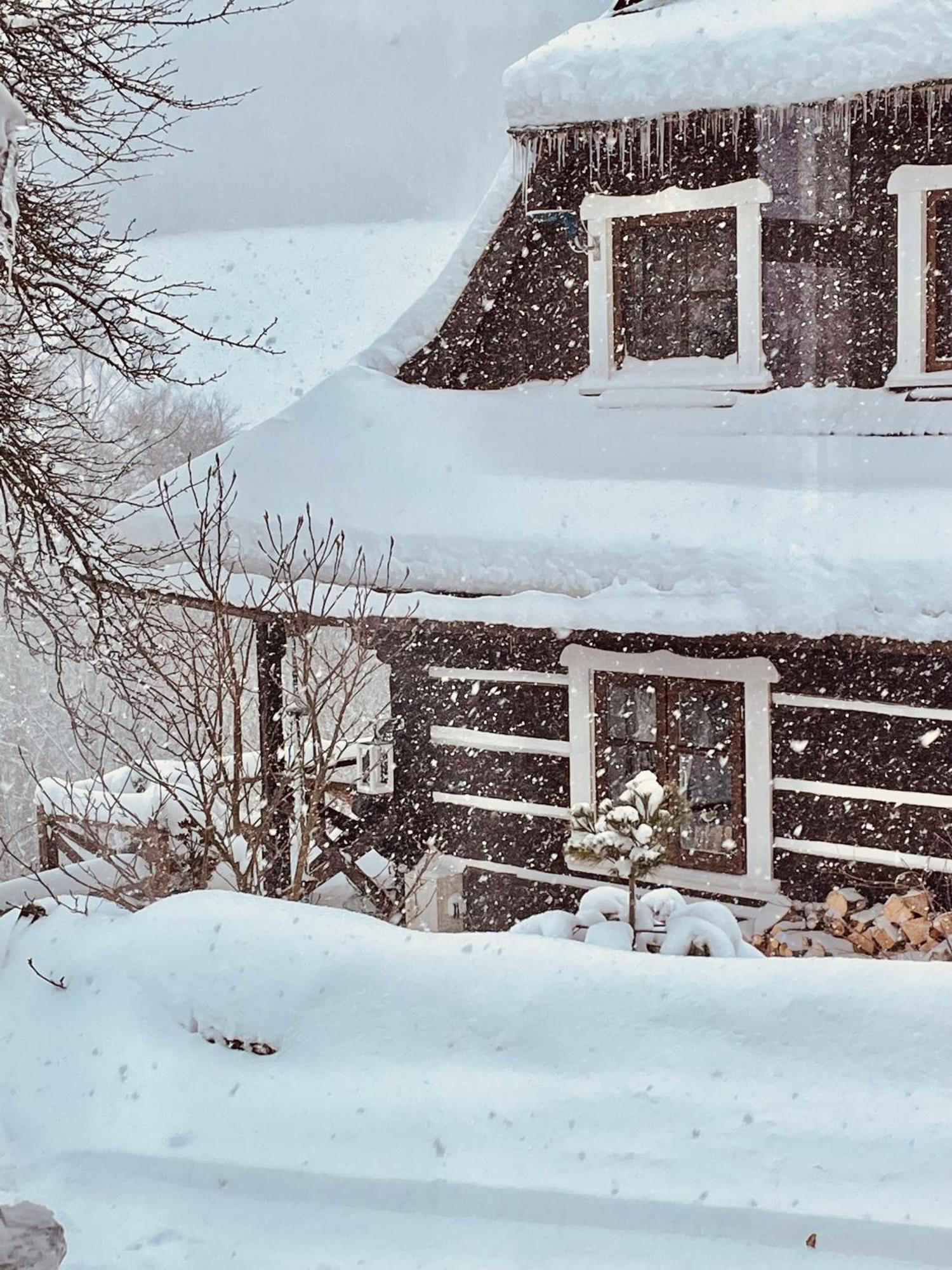 Maciejewka Villa Zahoczewie Kültér fotó