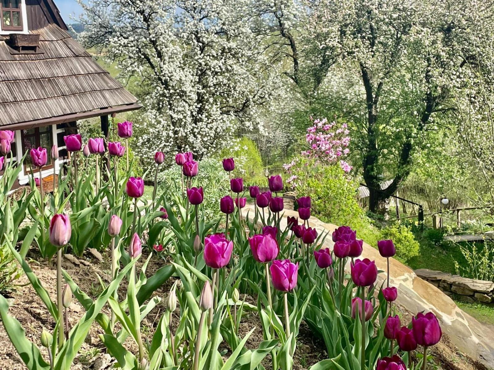 Maciejewka Villa Zahoczewie Kültér fotó