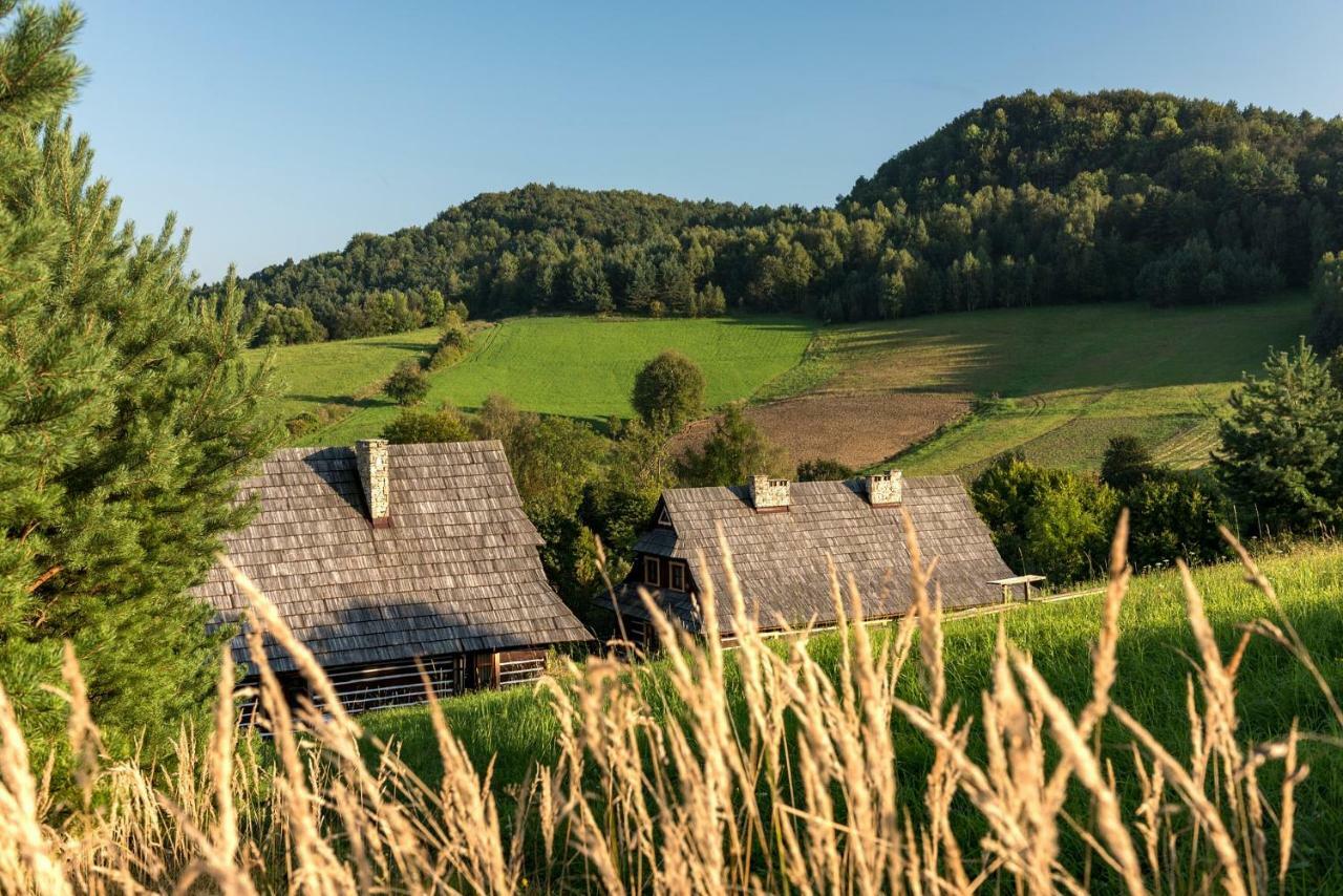 Maciejewka Villa Zahoczewie Kültér fotó